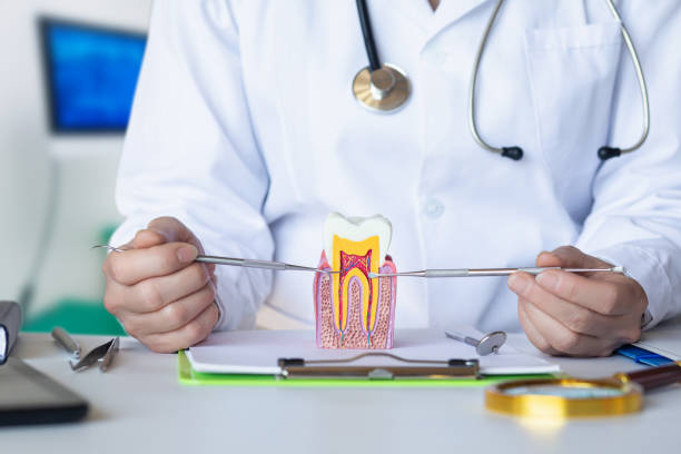 Best Emergency Root Canal Treatment in Norwood, NJ